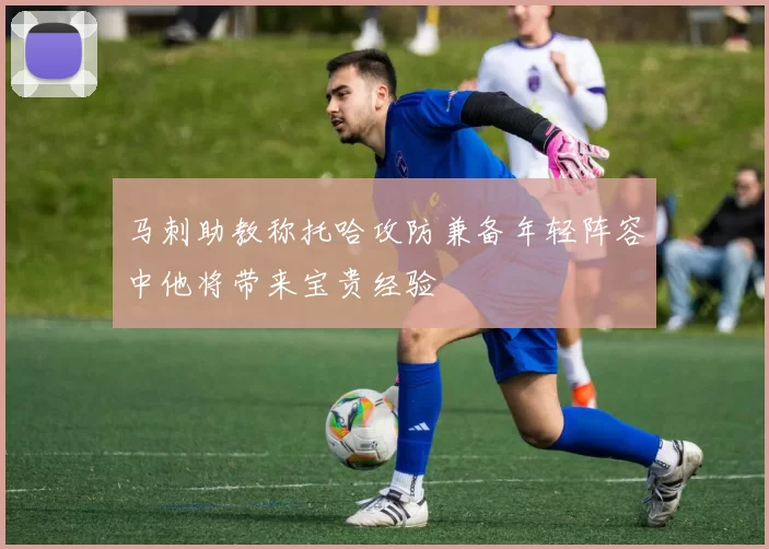 马刺助教称托哈攻防兼备年轻阵容中他将带来宝贵经验