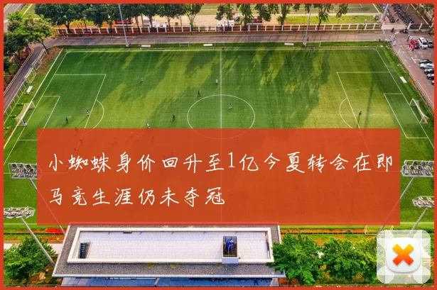 小蜘蛛身价回升至1亿今夏转会在即马竞生涯仍未夺冠
